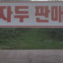 가평잣과일농장