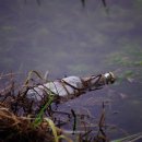 물좋은목욕탕 이미지