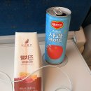 올바른버스노동조합 | 우린 지금 여수 밤바다 여수 밤바다