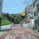 양지초등학교정문 앞 이미지