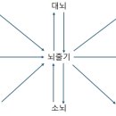 건강한뇌신경과의원 네이버블로그