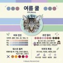 봄웜인지 여름뮤트인지 몰라서 일단 아무거나 사본 화장품 후기