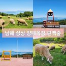 경남 남해 바다가 보이는 상상 양떼목장 편백숲 방문 후기