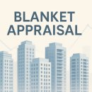 블랭킷Blanket
