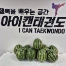 점프윙스 태권도, 줄넘기클럽 | 🍉 검단신도시 아라동 아이캔태권도 &amp; 점프윙스 줄넘기클럽 초복 이벤트!!" 널 사랑할 수박에"💚