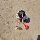 사리현국수집 이미지