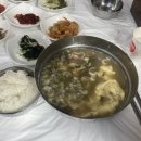 파라오노래연습장 이미지