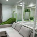 어푸키즈풀빌라 | 어푸키즈풀빌라 가평풀빌라 후기 (내돈내산) 찐후기