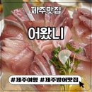 어왔니