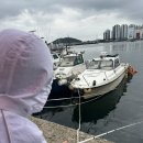 다대동 낫개테마거리 | 부산 낫개방파제 낚시 후기 🎣 전갱이 10마리 폭발 조황! 초보 가족 낚시 명소 추천