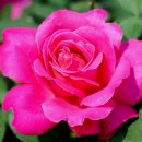 포항시북구4 이미지