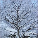 국립광주박물관 이미지