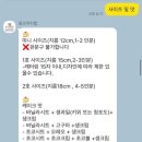 핑크쿠키랩 | [군포 당정] 핑크쿠키랩 레터링케이크 후기