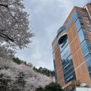 안양외국어고등학교 이미지