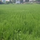 모야농장 이미지