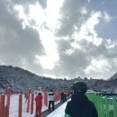 [비빌디스키보드강습] 홍천 비발디파크 유아, 성인 스키/보드 강습 예약 방법 내돈내산후기