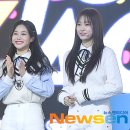 미소조아