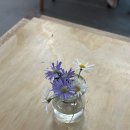 로스터리카페어촌
