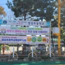 영강초등학교 이미지