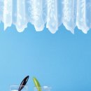 친환경세탁 이미지