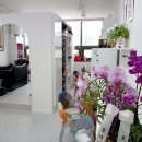 김정문화로 이미지