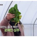 찬수농장 이미지