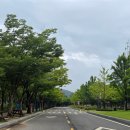 GS25 대공원점 | 인천대공원 데이트 코스 추천｜호수 산책부터 주차까지 직접 다녀온 후기