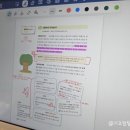 [엄마표 공부] 중등 중간고사 D-17, 아이패드 굿노트로 완성하는 수학·과학 오답노트 공부법