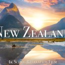 New Zealand: The Ultimate Travel 이미지
