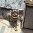 경기도 수원시 영통구 산남로 이미지