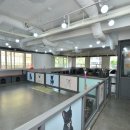 혼자두면 장판뜯어서 차린 개카페 이미지