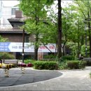 은행나무공원 이미지