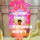 꼬꼬마옷장 | 🩷 티니핑 월드 인 판교 후기