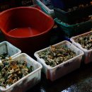 해물왕거제도굴구이 이미지