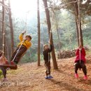 유아동네숲터 이미지