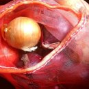 호미건강원 | 빨간양파즙과 생양파로 다이어트 중[장청소(변비)와 부종에 효과 보고 있어요]