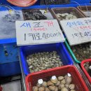 농수산물도매시장 수산동_1 | 천안시 농수산물도매시장 해창수산 새조개 가격 후기 수산동 주차 천안사랑카드 가능 내돈내산