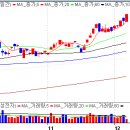 12월07일 모니터링 주식 이미지