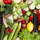 마르지오의원 이미지