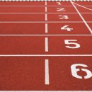 정관체육시설 테니스장 이미지