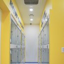 옐레드 동탄예당점 | 동탄애견유치원 : 옐레드 동탄예당점