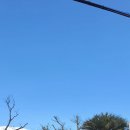 염광의원 이미지