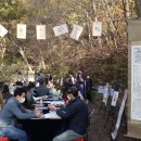 오두산 치유숲 이미지