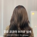 위트헤어(WIT)