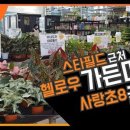 (주)더청화 이미지