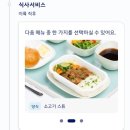 917 | 대한항공 인천-취리히 KE917 탑승후기 (특별기내식, 좌석 추천)