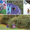 자연에서온 편지 이미지