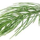 우리두리약국 이미지