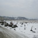 갈산리목장 이미지