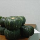 오월농원 | 오월농원 단호박 솔직 후기 / 단호박 보관법 / 달달 든든 매년 내 여름을 책임지는 오월농원 단호박 추천